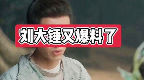 娱乐圈最新爆料罗大锤是谁,娱乐圈新晋神秘人物，身份之谜引热议  第2张